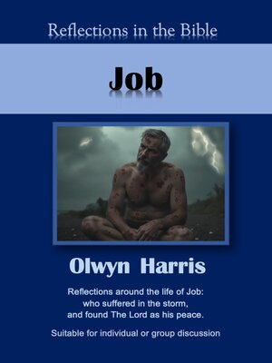 cover image of Job